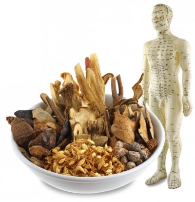 Moxibustion + modèle d'acupuncture / Source: https://www.pngegg.com